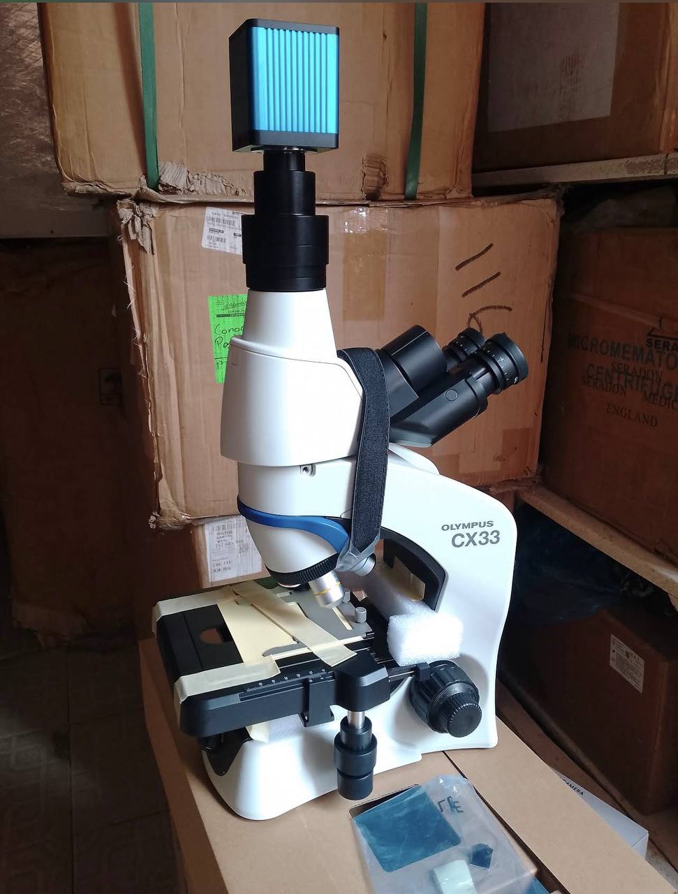 Olympus CX33 microscope fitted with a digital camera head